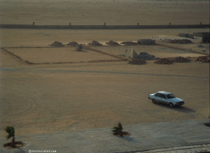 Elevage de poussiere - Sahara occidental